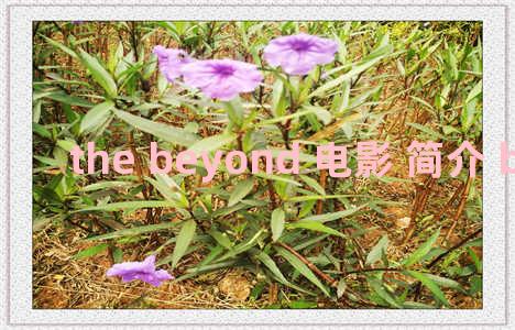 the beyond 电影 简介 beyond the doubt